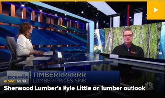 Lumber prices dive more than 40% in June biggest monthly drop on record